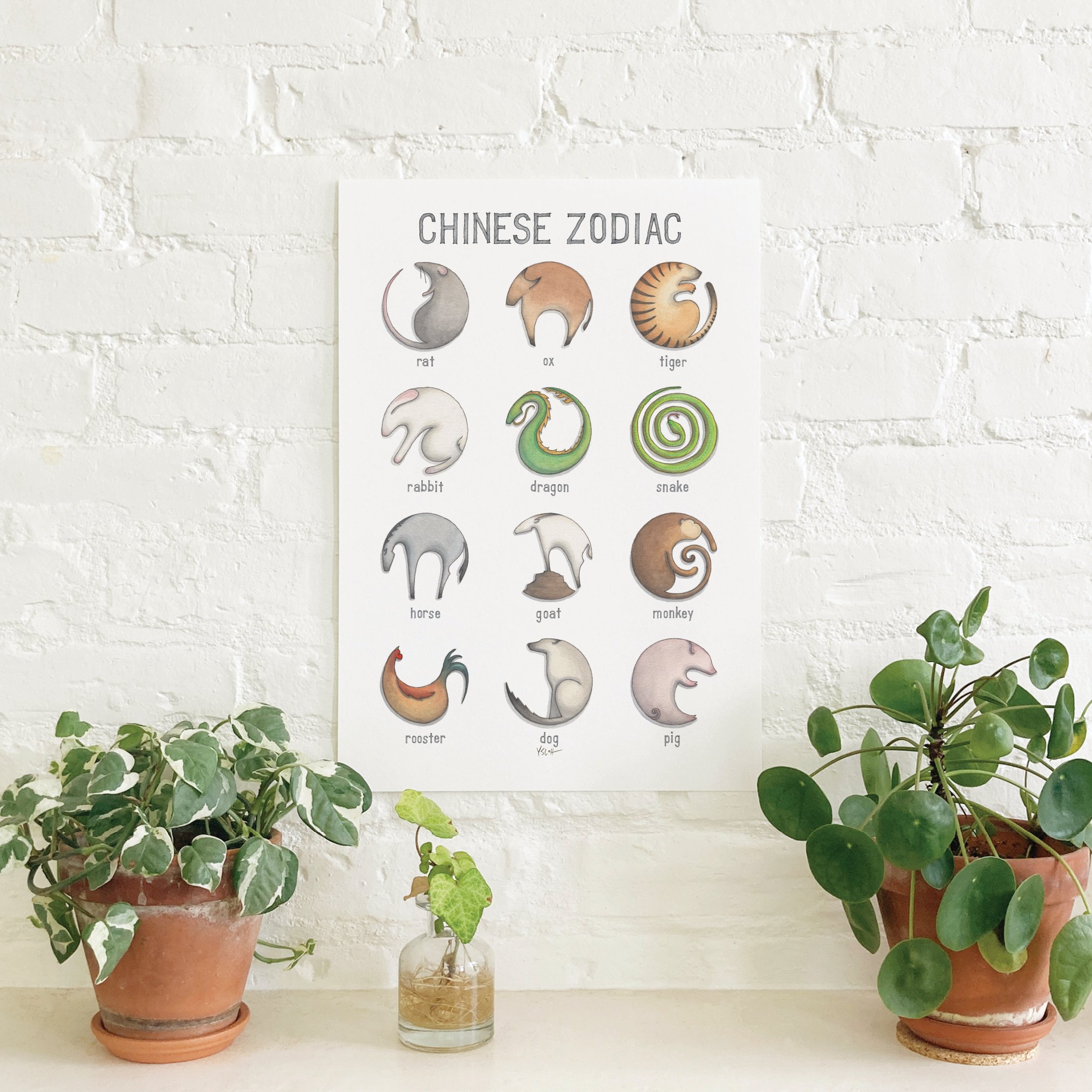 Chinese Zodiac | 13